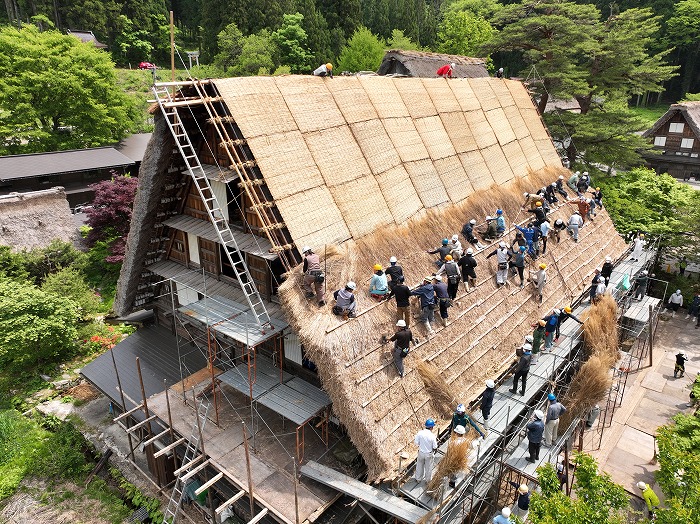 Thatching Roofs and Yui